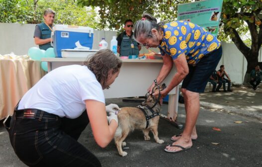 Campanha Antirrábica 2022 vacina mais de 280 mil animais em Fortaleza