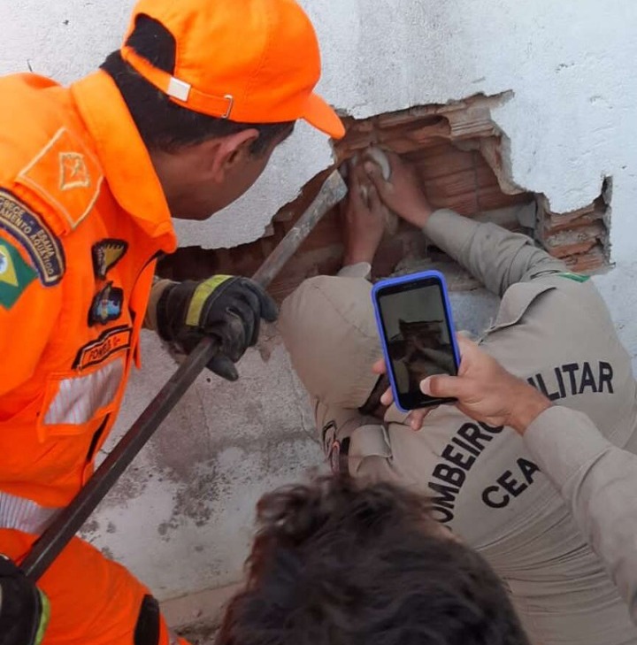 Gata é resgatada por bombeiros entre paredes em Itapipoca