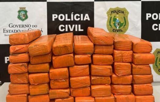 Jovem é presa com 30 quilos de maconha na divisa entre Ceará e Pernambuco