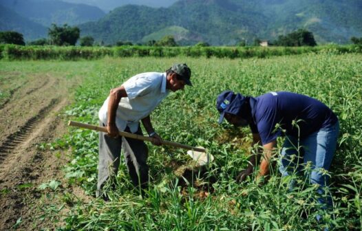 Prazo para produtores rurais manterem desconto em débitos renegociados com o BNB termina na quarta-feira (30)