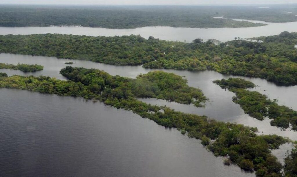 Preservação da Amazônia é prioridade do governo eleito na COP27