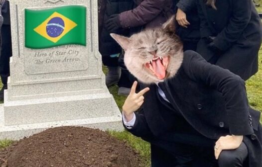 Redes sociais: arremesso do gato Hexa é visto como maldição que eliminou Brasil da Copa