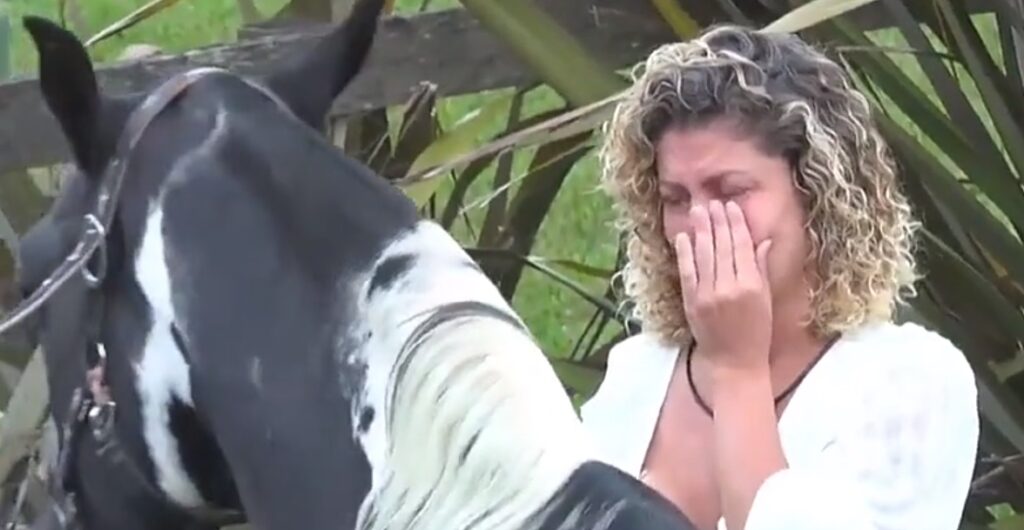 Antes de vencer A Fazenda 14, Bárbara Borges cai no choro ao se despedir dos animais. Assista