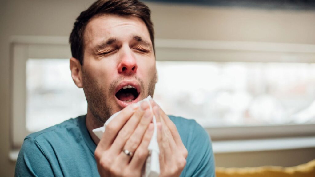 Ácaros, poeira e pólen: ventos fortes de agosto pioram sintomas de alergia e doenças respiratórias