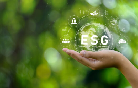 Jovens criam plataforma que ajuda empresas a implantarem políticas de ESG