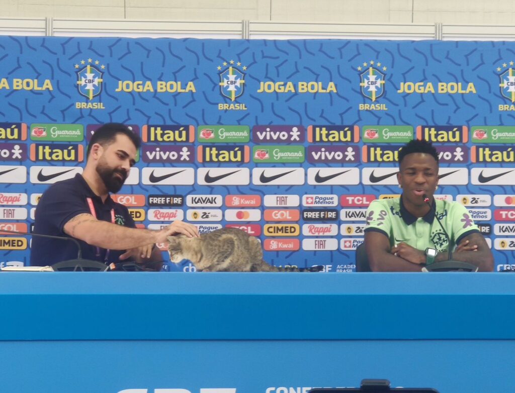 Após ser expulso de coletiva, gato é batizado de “Hexa” e vira mascote da Seleção