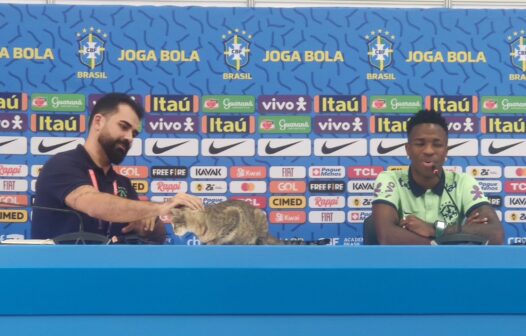 Após ser expulso de coletiva, gato é batizado de “Hexa” e vira mascote da Seleção