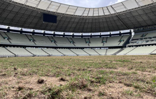 Gramado da Arena Castelão começa a crescer após uma semana de plantio das mudas 