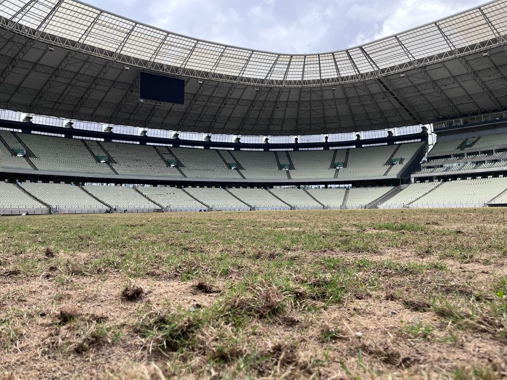 Gramado da Arena Castelão começa a crescer após uma semana de plantio das mudas 