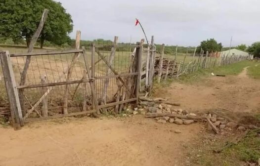 Grupo invade fazenda, furta animais e mata cão enforcado no interior do Ceará