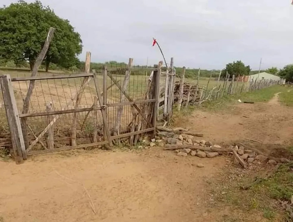 Grupo invade fazenda, furta animais e mata cão enforcado no interior do Ceará