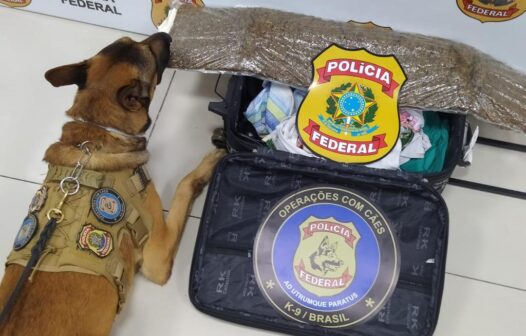 Polícia Federal apreende mulher com maconha no Aeroporto de Fortaleza