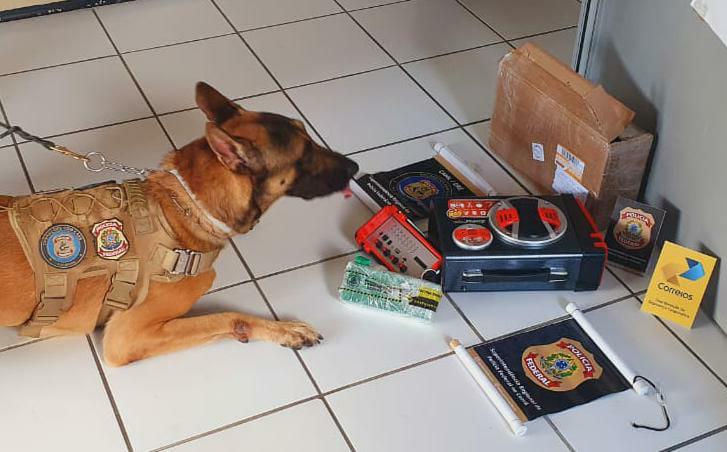 Polícia Federal prende homem com encomenda de maconha escondida em caixa de som