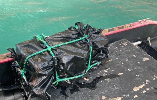Polícia Federal e Forças de Segurança estaduais apreendem 65 kg de cocaína no Porto do Pecém