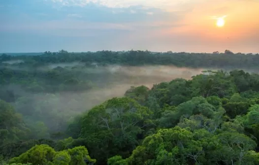 Clima para amanhã: confira a previsão do tempo em Manaus, nesta quarta-feira (19)