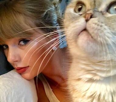 Gata de Taylor Swift e cachorros de Oprah estão entre os pets mais valiosos do mundo