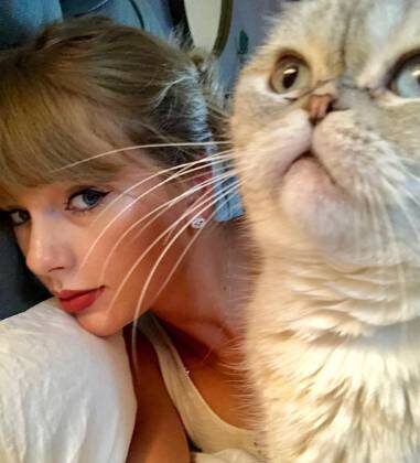 Gata de Taylor Swift e cachorros de Oprah estão entre os pets mais valiosos do mundo