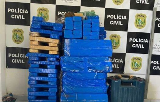 Polícia apreende quase 149 kg de drogas em Itaitinga