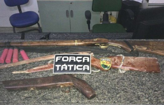 Três armas de fogo são apreendidas em Iguatu