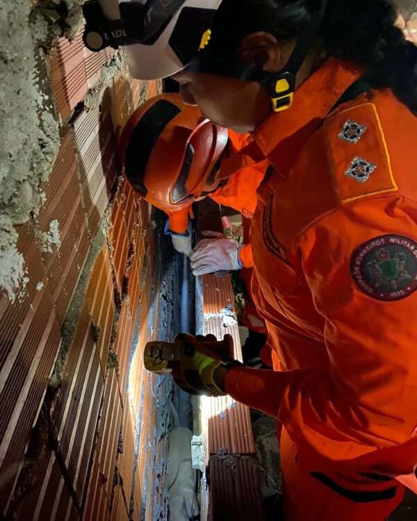 Corpo de Bombeiros resgata cadela presa entre paredes em Sobral