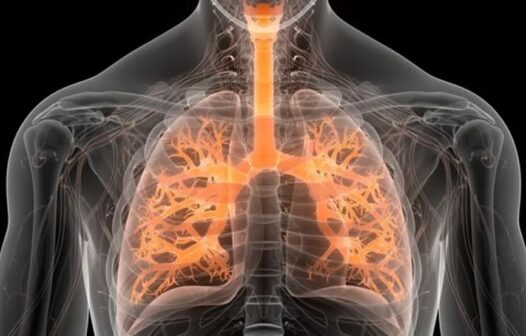 Pneumologista detalha sintomas e tratamento da fibrose pulmonar, causa da morte da cantora cearense Rita de Cássia