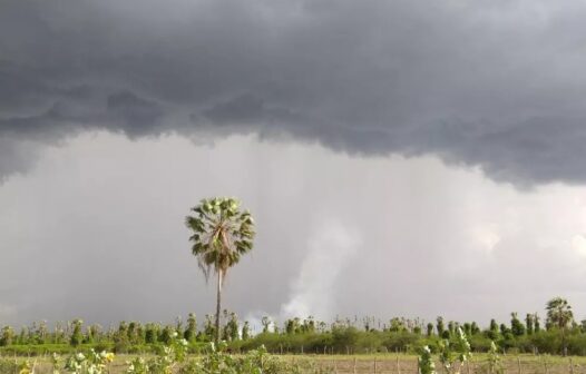 Chuvas devem banhar o Ceará até terça-feira (28); confira previsão