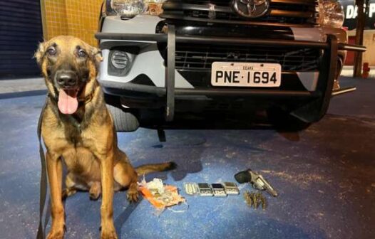 Com auxílio de cão farejador, polícia apreende revólver e drogas no bairro Coaçu