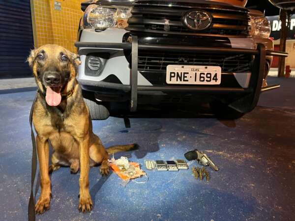 Com auxílio de cão farejador, polícia apreende revólver e drogas no bairro Coaçu