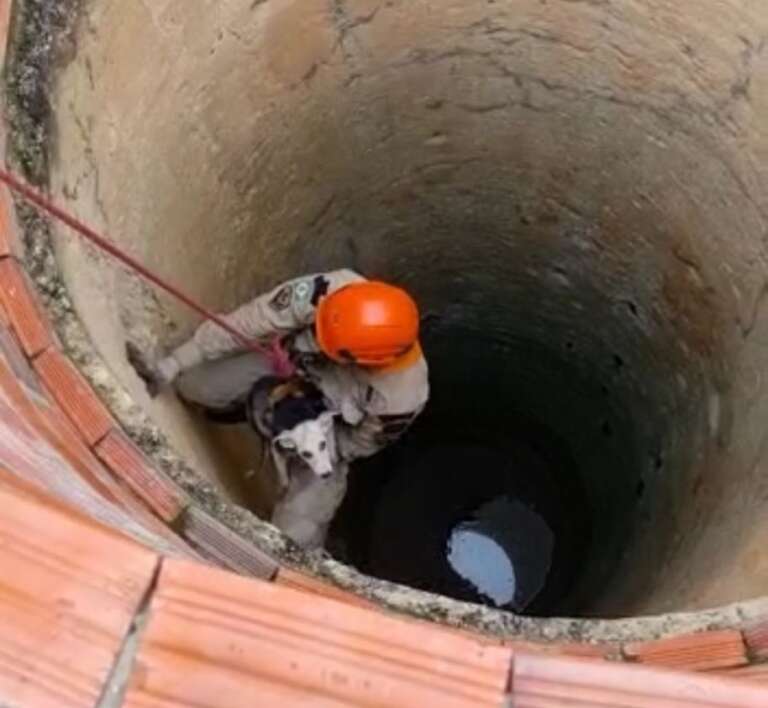 Corpo de Bombeiros resgata cachorro de cacimba em Itapipoca