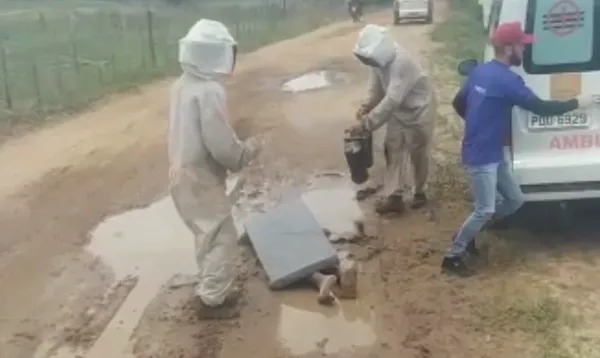 Dois idosos e um homem se jogam em poças de lama para fugir de ataque de abelhas