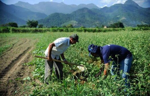 Governo Federal prorroga prazo para cadastro na Agricultura Familiar; saiba como acessar