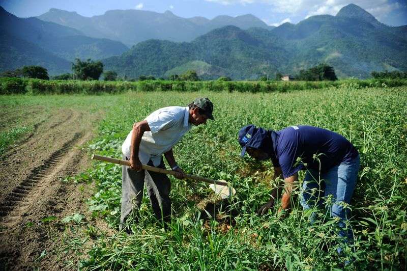 Governo Federal prorroga prazo para cadastro na Agricultura Familiar; saiba como acessar