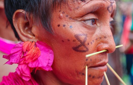 Ibama cria sala de combate ao garimpo ilegal em terra Yanomami