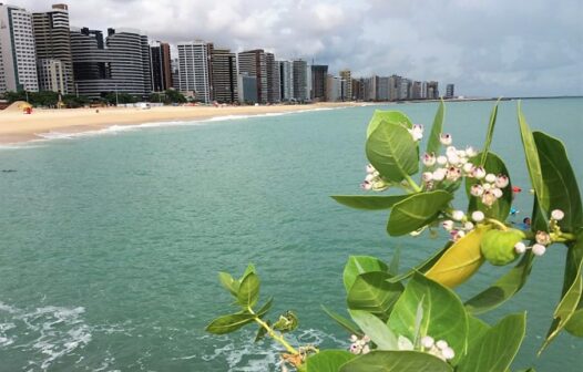 15 trechos de praias em Fortaleza estão próprios para banho neste fim de semana