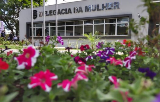 Criação de delegacias de atendimento à mulher é aprovada pelo Senado