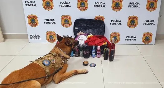 Manuara é presa com cocaína em embalagens de sucos, vinhos e perfumes no Aeroporto de Fortaleza