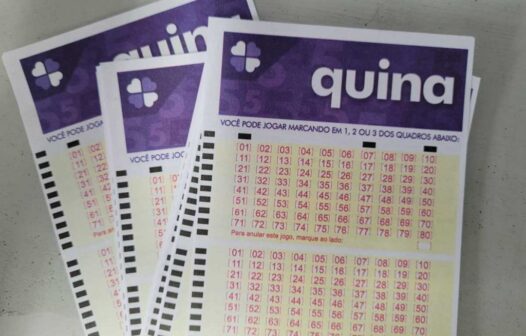 Resultado da Quina, concurso 6111, hoje, terça-feira (28/03)