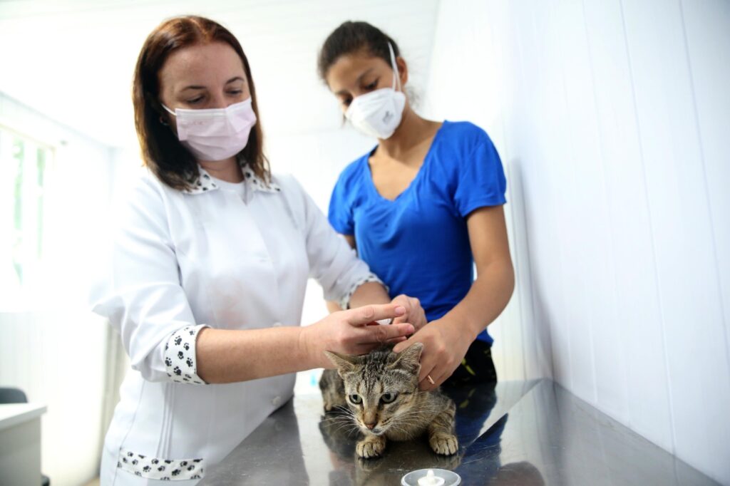 Ceará vai ganhar unidade móvel de atendimento veterinário gratuito