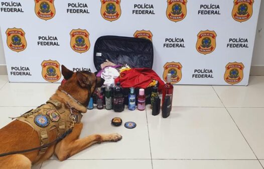 Passageira é presa por transportar cocaína em embalagens de sucos, vinhos e perfumes no Aeroporto de Fortaleza