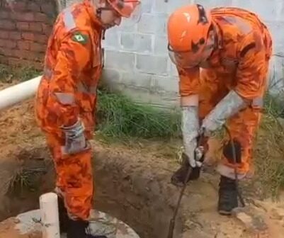 Corpo de Bombeiros resgata cadela que caiu em cacimba em construção