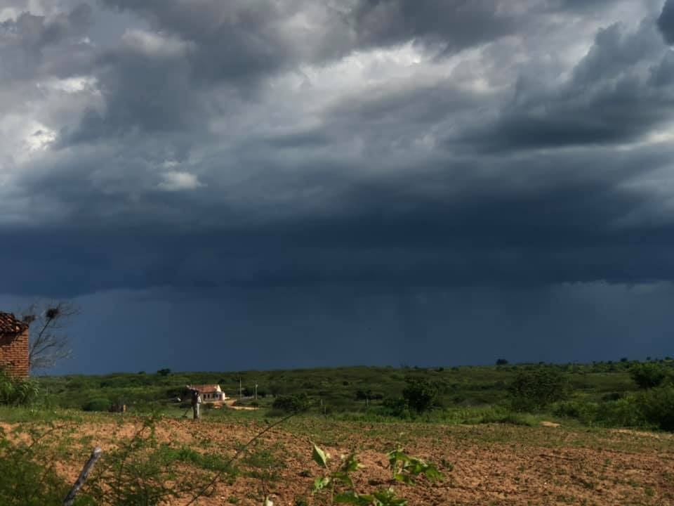 Chove em 100 municípios cearenses, informa Funceme