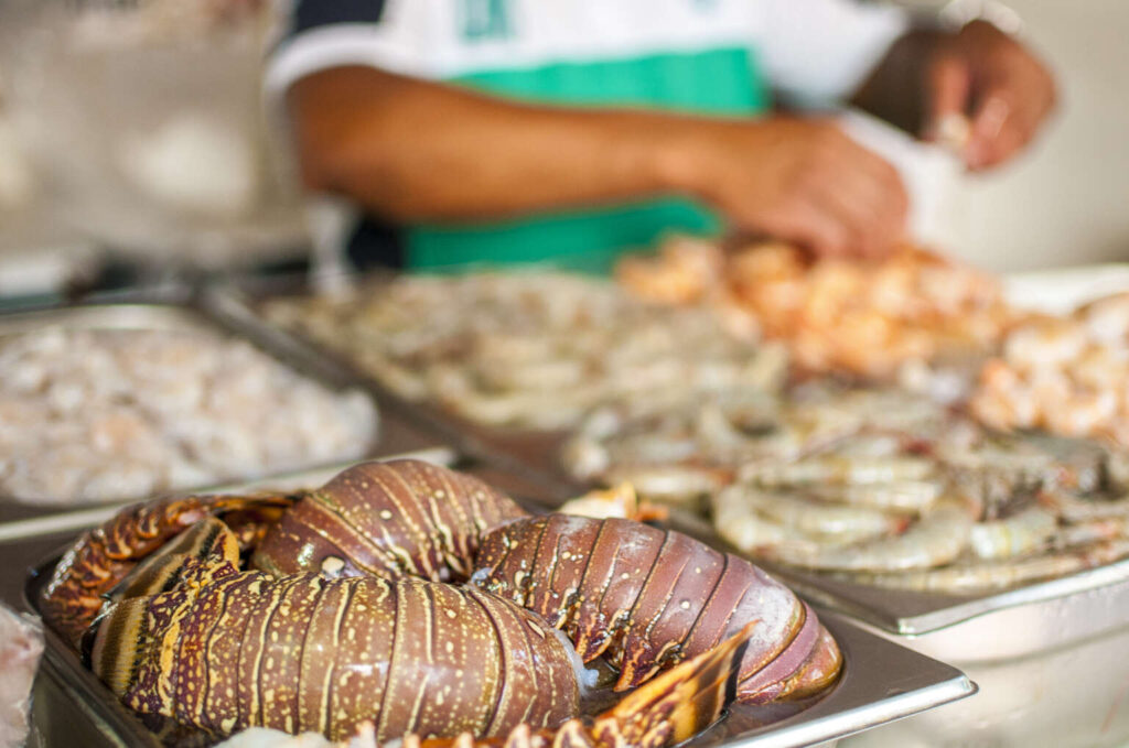 Ceará mantém liderança nas exportações de pescados durante a Semana Santa