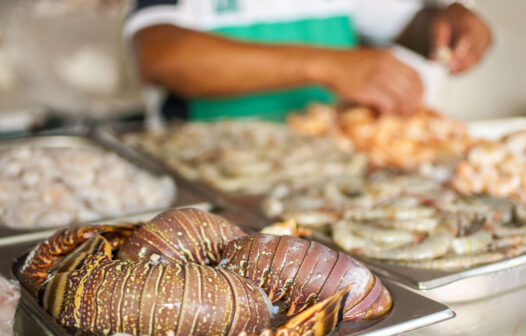 Ceará mantém liderança nas exportações de pescados durante a Semana Santa