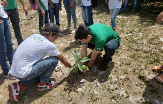 Programa Agente Jovem Ambiental abre 1.110 vagas em Fortaleza