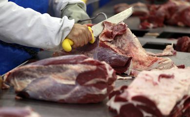 Rússia anuncia fim do embargo à carne bovina do Brasil, informa Itamaraty