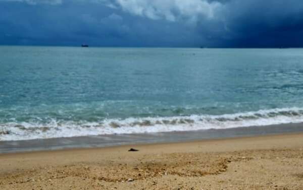 Seis trechos de praias de Fortaleza estão próprios para banho, aponta Semace