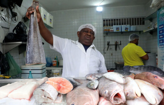 Semana Santa: peixes têm variação de até 304% no preço em Fortaleza