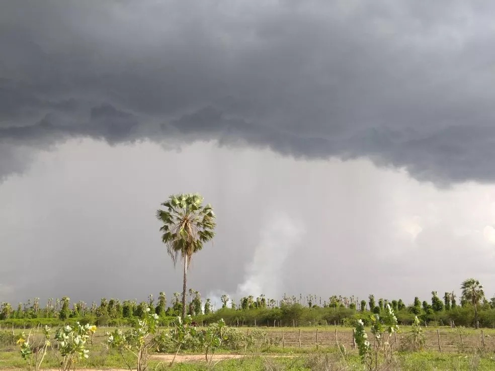 Funceme: Ceará apresenta 45% de probabilidade de chuvas abaixo da média em 2024