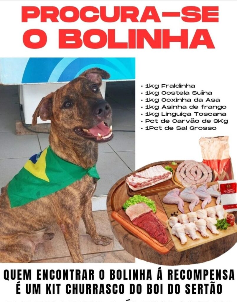 Comerciante oferece kit churrasco para quem encontrar cachorro desaparecido