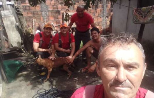 Corpo de Bombeiros resgata cachorro de cacimba em Maracanaú
